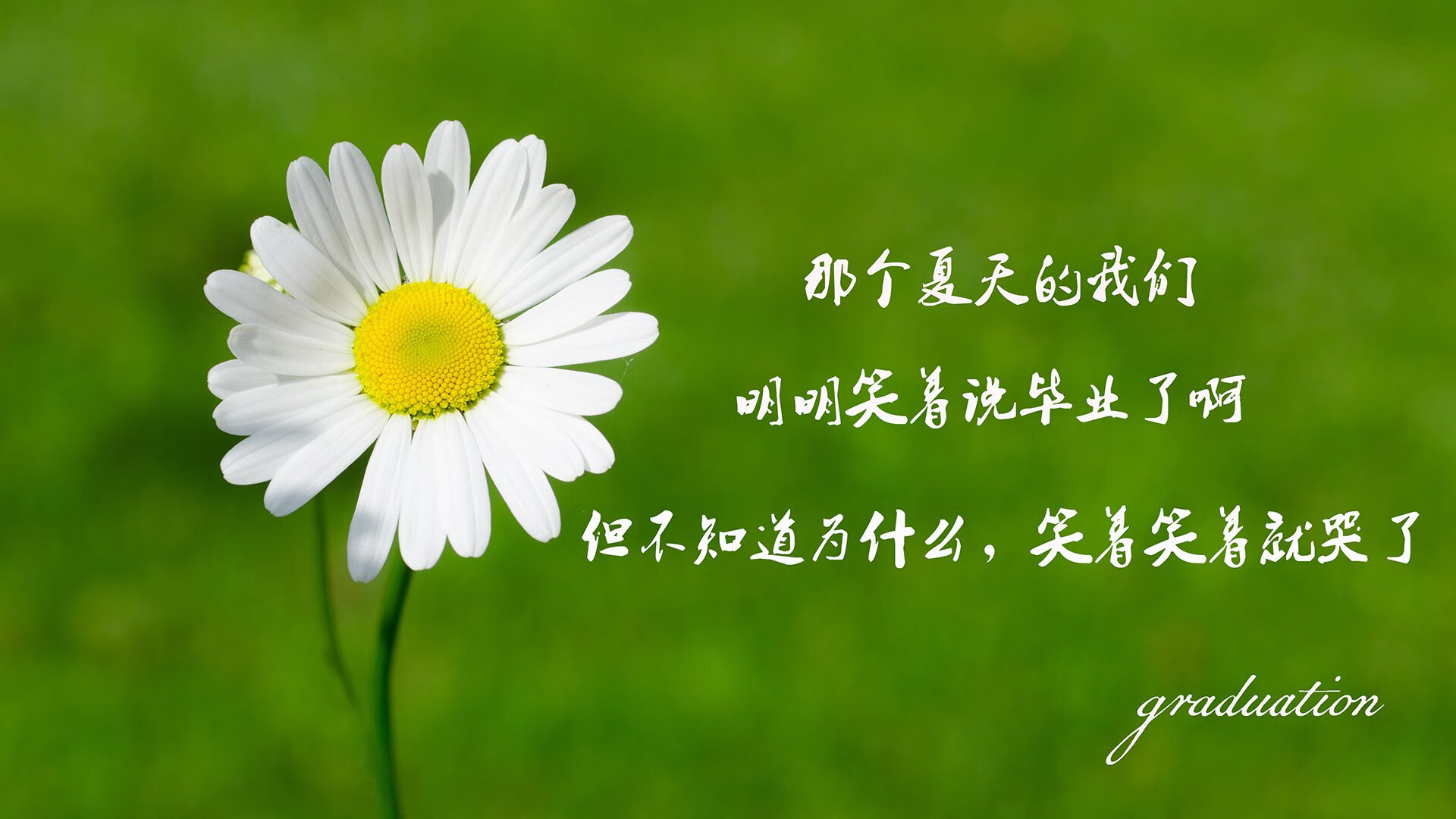 _掘金攻守兼备，联赛排名持续攀升_，掘金的比赛