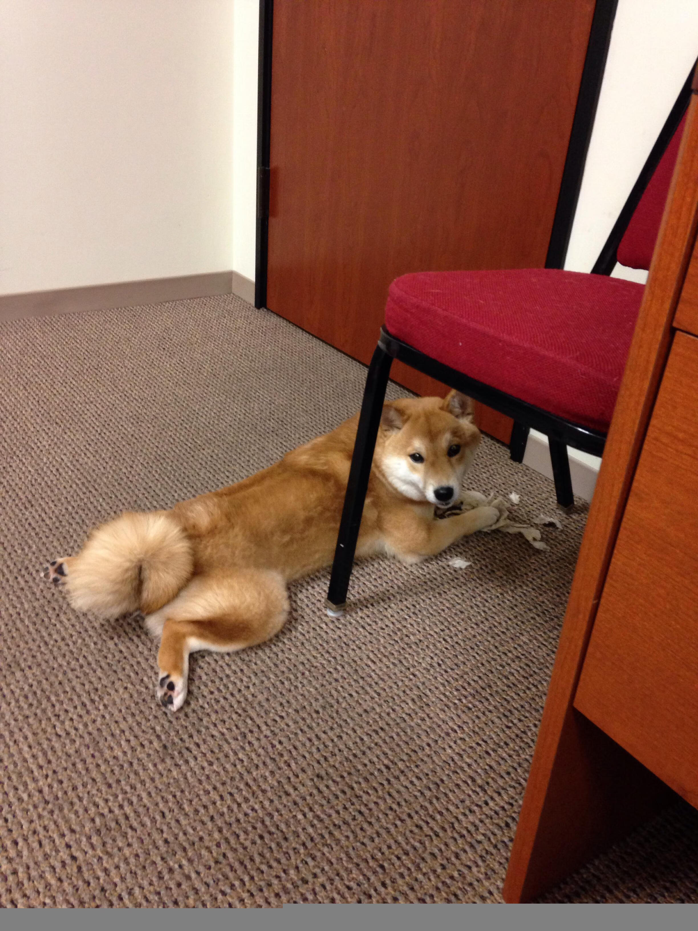 kaiyun.com-《热血少年：青少年电竞赛事精彩纷呈》，热血少年tv