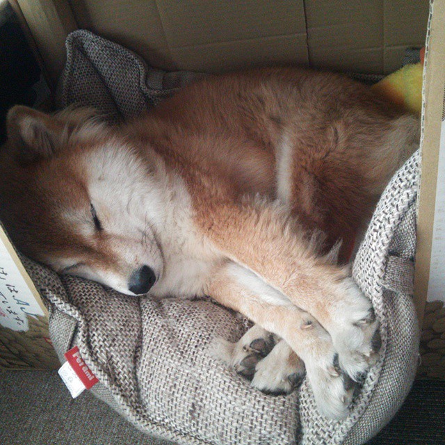 【明星碰撞】丁俊晖和奥沙利文的经典对决瞬间回放,丁俊晖和奥沙利文第一次比赛