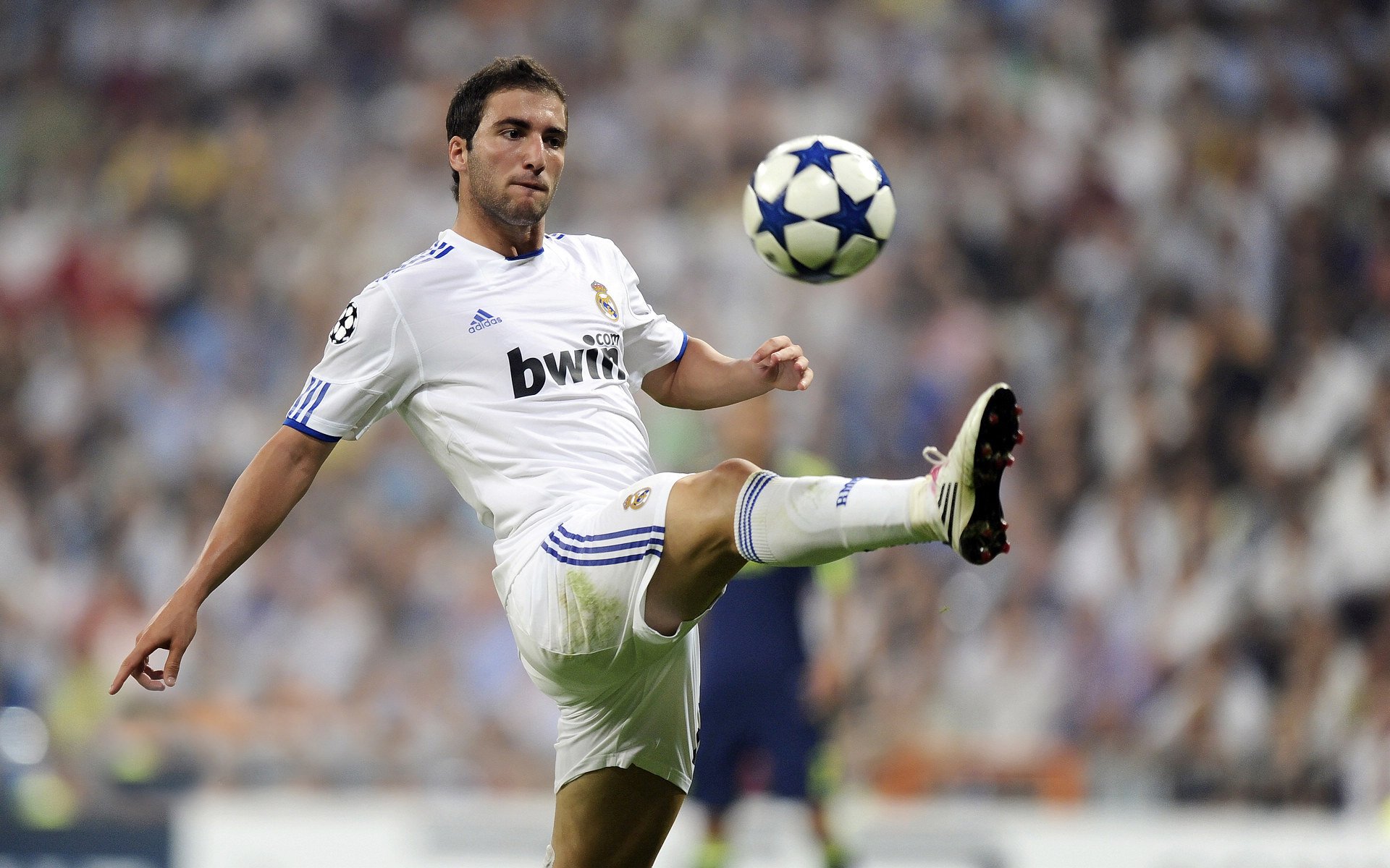 “马丁·高尔西的全能表现,阿根廷美洲狮队的防守中坚”